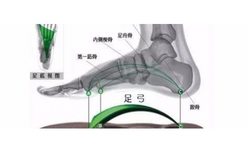 矯形鞋墊為什么可以緩解足部疾??？